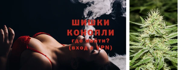 спиды Дмитриев