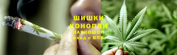 ECSTASY Дмитров