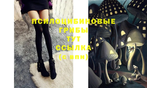 спиды Дмитриев